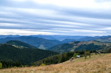Sakin panoramik dağ vadisi, sık ormanlar, yuvarlanan tepeler ve yumuşak, bulutlu bir gökyüzünün altında altın çayırlar. Manzara, seyahat, doğa ve doğa projeleri için mükemmel. Karpatlar