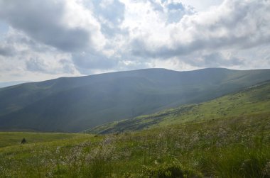 Yeşil tepeleri, engin vadileri ve dramatik bulutlu gökyüzünü barındıran sakin dağ manzarası. Doğa, seyahat, açık hava, sağlık ve manzara görsel temalar için idealdir. Svydovets, Karpatlar