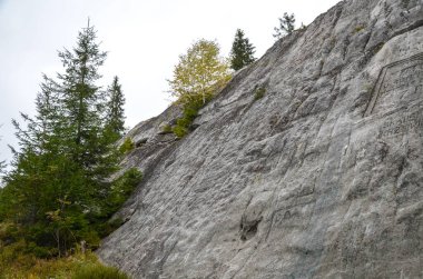 Yazılı Taştan yapılma engebeli bir duvar çam ağacının yanında yükseliyor ve soluk bir duvar yazısı yer alıyor. Sonbahar renkleri, uzaktaki yamaçlarda buluşan doğal ve kentsel işaretler gibi yalnızlığı taşıyan sahneyi renklendirir.
