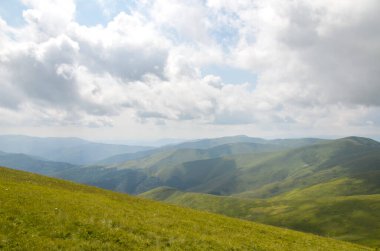 Çimenli tepelerin sakin manzarası ve parçalı bulutlu gökyüzünün altındaki uzak dağlar. Ilık ışık ve yumuşak gölgeler barışı çağrıştırıyor, bu da doğa, seyahat ve manzara stokları için ideal hale getiriyor. Karpatlar