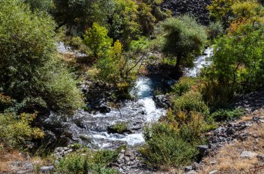 Garni Vadisi 'ndeki güneşli, engebeli ve doğal bir arazide, yemyeşil yapraklar ve ağaçlarla çevrili, koyu kayaların üzerinden akan Azat Nehri akıntısı Ermenistan' ın Taşlar Senfonisi olarak da bilinir.