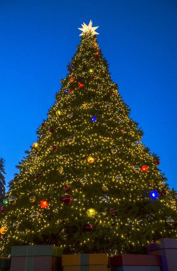 Büyük bir açık hava Noel ağacı, üzerinde büyük beyaz bir yıldızla koyu mavi bir gökyüzüne karşı sayısız altın ışık ve renkli süslemelerle aydınlık bir ışıktır.