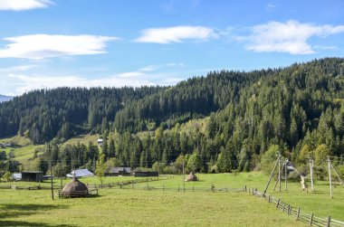 Yeşil tarlaların, samanlıkların, ahşap çitlerin ve sık yeşil tepelerin olduğu huzurlu kırsal alan. Karpat Dağları, Ukrayna