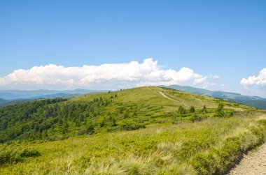 Geniş, yuvarlanan tepeler ve yeşil çimlerle kaplı dağlar beyaz bulutlarla benekli mavi gökyüzünün altındaki uzak dağlara doğru uzanıyor. Karpat Dağları, Ukrayna