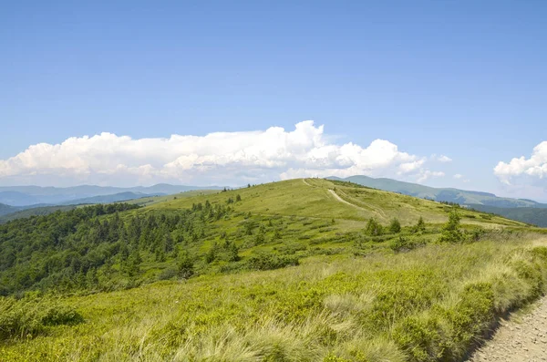 Geniş, yuvarlanan tepeler ve yeşil çimlerle kaplı dağlar beyaz bulutlarla benekli mavi gökyüzünün altındaki uzak dağlara doğru uzanıyor. Karpat Dağları, Ukrayna