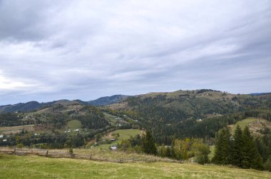 Yuvarlanan tepelerin, sık yeşil ormanların ve vadideki dağınık evlerin olduğu huzurlu kırsal manzara. Bulutlu gökyüzü, sakin kırsal güzelliğin altını çizerek yumuşak bir ışık yaratıyor. Karpatlar, Ukrayna