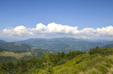 Yeşil tepeleri yuvarlayan panoramik manzara ve açık mavi gökyüzünün altındaki uzak dağlar, beyaz bulutlarla benekli. Karpatlar, Ukrayna