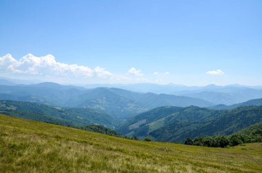 Yeşil dağların panoramik manzarası ve yoğun ormanlarla kaplı yuvarlanan tepeler, açık mavi gökyüzünde dramatik beyaz kümülüs bulutları. Karpat Dağları, Ukrayna