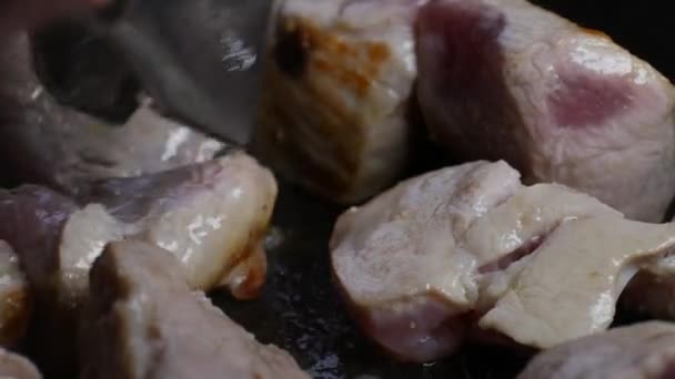 イベリア豚のシーンを焼き 弱火で新鮮な肉を蒸し — ストック動画