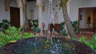 Endülüs 'te bahar mevsiminde çiçekler, Cordoba' nın tipik avluları, çeşmeler, bol güneş ışığı, çok güzel ve neşeli bir sahne, 60 fps ve 4K 'da yavaş çekimde kaydedildi..