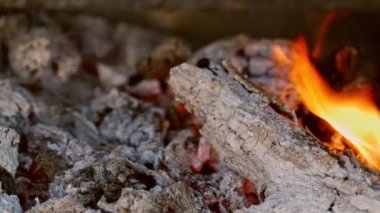 Yakın çekim dikey yavaş çekim, açık hava barbekü ateşi ve kömürlü et ızgarası aile pikniğinde yemek hazırlıyor.. 