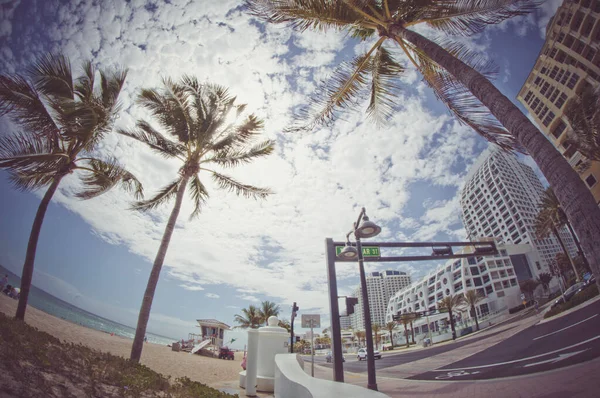 Miami Florida Key West Yaz — Stok fotoğraf