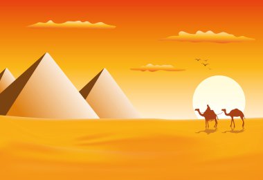 Giza piramitleri, deve karavan