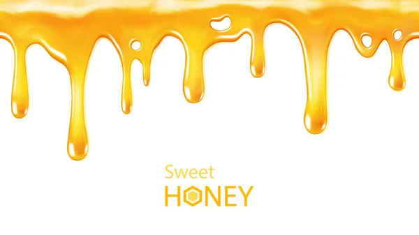 Druipende honing — Stockvector