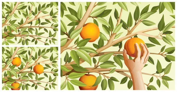 Ensemble de décors avec des feuilles et des fruits aux couleurs pastel. Illustrations De Stock Libres De Droits