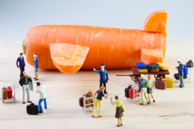 Havuç yapılan uçakla seyahat oyuncak.