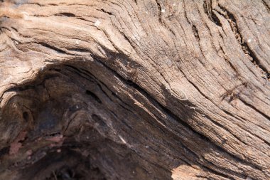 Kahverengi eski ahşap desen doku arka plan.