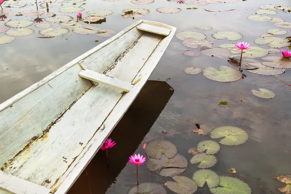 White rowboat in pink lotus pond — Stock Photo, Image