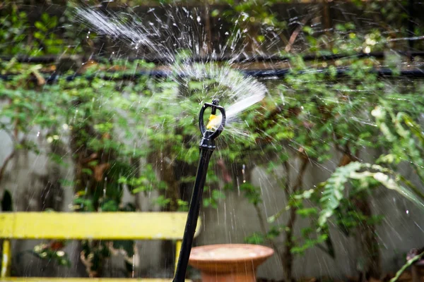 Aspersor de agua en el jardín — Foto de Stock