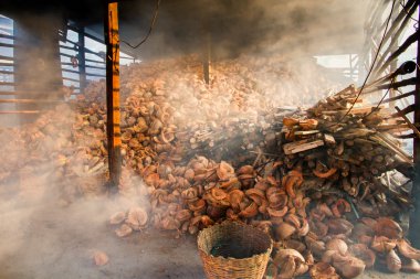 Ölü yakma tesisi bambu kavrulmuş pirinç yakar. yapışkan pirinç soa