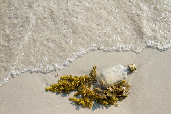 Empty glass bottle washed up as rubbish on a beach, garbage on b — Stock Photo, Image