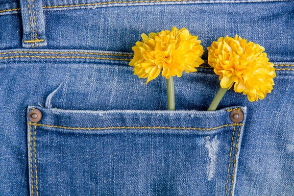 Plastic flowers in the back pocket jeans.Jeans background — Stock Photo, Image