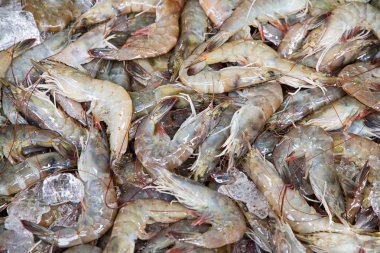 Angsila, Choburi, Thailand.Se feribot, taze Pazar içinde karides