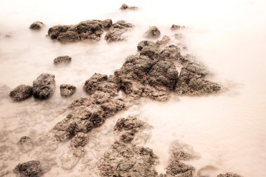 Kayalık Sahil güzel uzun pozlama peyzaj.