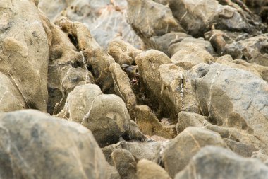 taş dokusunun arkaplanı.