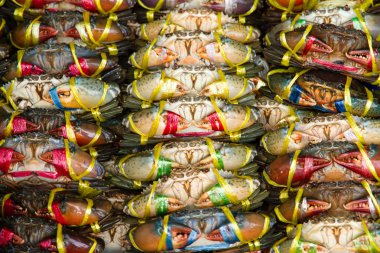 Angsila, Choburi, Thailand.Sea feribot, taze Pazar Yengeç 