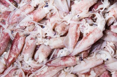 Angsila, Choburi, Thailand.Sea feribot, taze Pazar kalamar