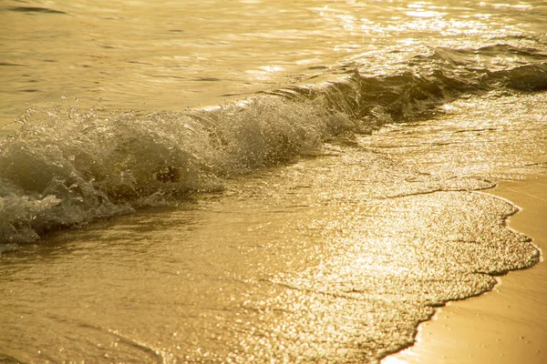 Cerca de olas doradas en la playa de arena al atardecer . —  Fotos de Stock