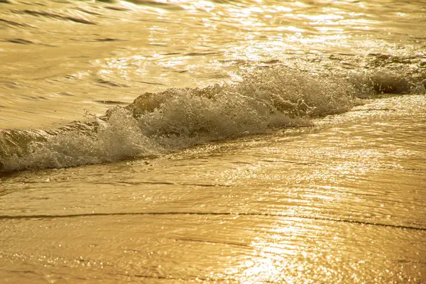 Cerca de olas doradas en la playa de arena al atardecer . —  Fotos de Stock