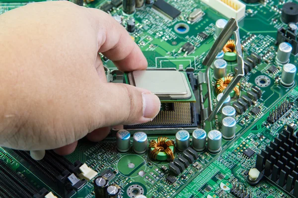 CPU en la mano antes de la instalación en la placa base —  Fotos de Stock