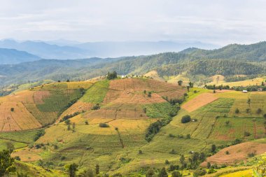Pa Bong Piang Panorama Hava Manzarası pirinç tarlaları, Mae Chaem, Chiang Mai Tayland.