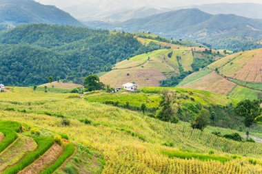 Pa Bong Piang Panorama Hava Manzarası pirinç tarlaları, Mae Chaem, Chiang Mai Tayland. Ana konuya odaklanmayın. .
