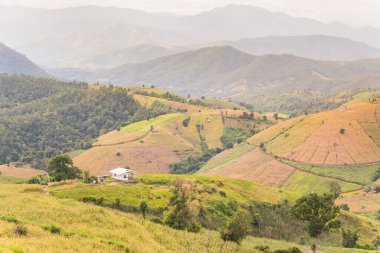 Pa Bong Piang Panorama Hava Manzarası pirinç tarlaları, Mae Chaem, Chiang Mai Tayland.