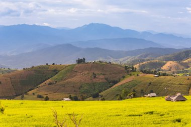 Pa Bong Piang Panorama Hava Manzarası pirinç tarlaları, Mae Chaem, Chiang Mai Tayland.
