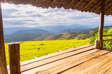 Pa Bong Piang Panorama Hava Manzarası pirinç tarlaları, Mae Chaem, Chiang Mai Tayland.
