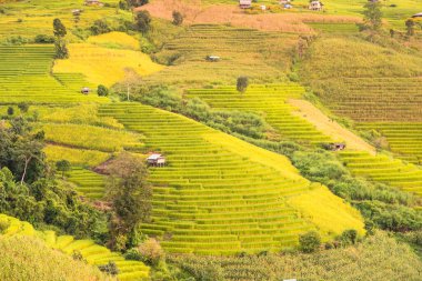 Pa Bong Piang Panorama Hava Manzarası pirinç tarlaları, Mae Chaem, Chiang Mai Tayland.