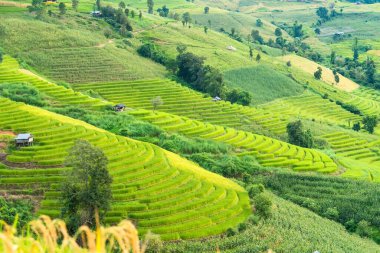 Pa Bong Piang Panorama Hava Manzarası pirinç tarlaları, Mae Chaem, Chiang Mai Tayland. Ana konuya odaklanmayın. .