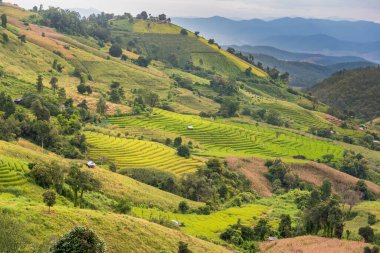 Pa Bong Piang Panorama Hava Manzarası pirinç tarlaları, Mae Chaem, Chiang Mai Tayland.