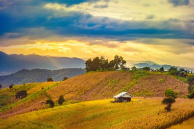 Pa Bong Piang Panorama Hava Manzarası güneş batarken pirinç tarlalarını, Mae Chaem, Chiang Mai Tayland.