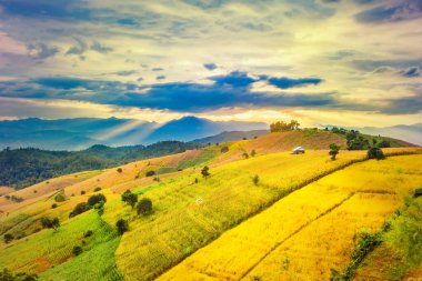 Pa Bong Piang Panorama Hava Manzarası güneş batarken pirinç tarlalarını, Mae Chaem, Chiang Mai Tayland.