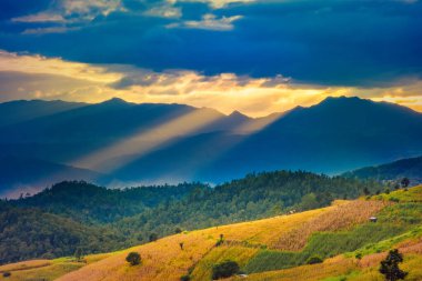 Pa Bong Piang Panorama Hava Manzarası güneş batarken pirinç tarlalarını, Mae Chaem, Chiang Mai Tayland.