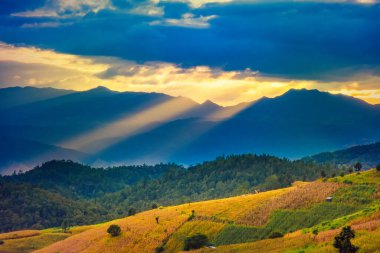 Pa Bong Piang Panorama Hava Manzarası güneş batarken pirinç tarlalarını, Mae Chaem, Chiang Mai Tayland.