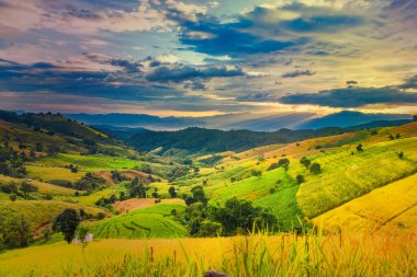 Pa Bong Piang Panorama Hava Manzarası güneş batarken pirinç tarlalarını, Mae Chaem, Chiang Mai Tayland.
