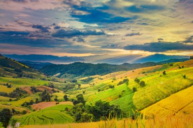 Pa Bong Piang Panorama Hava Manzarası güneş batarken pirinç tarlalarını, Mae Chaem, Chiang Mai Tayland.