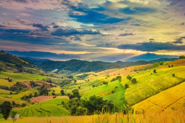 Pa Bong Piang Panorama Hava Manzarası güneş batarken pirinç tarlalarını, Mae Chaem, Chiang Mai Tayland.