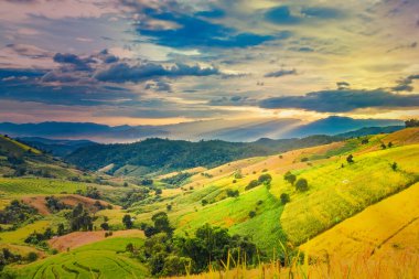 Pa Bong Piang Panorama Hava Manzarası güneş batarken pirinç tarlalarını, Mae Chaem, Chiang Mai Tayland.